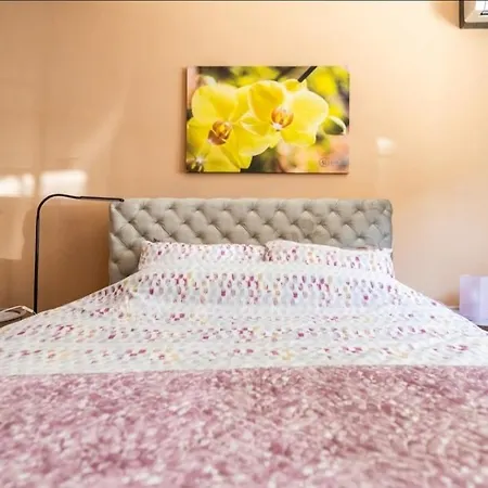 Chic Dorcol Apartment Belgrade